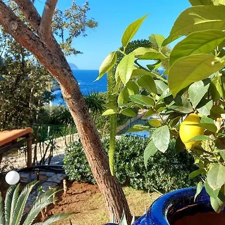 B&B Vfh Flavia Eco - 50 Metri Dal Mare 5*